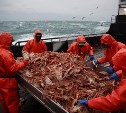 В Охотском море с судна упал в воду рыбак