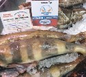 Более 400 тонн свежей рыбы реализовано на Сахалине