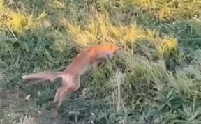Общество