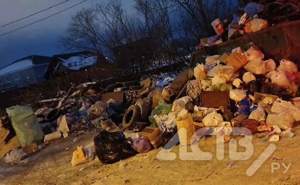 "Люди, вы что творите?": в Южно-Сахалинске свалка из шин, просрочки и мебели растёт каждый день