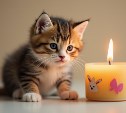 Сахалинские энергетики сообщили, где будут отключать свет 14 ноября