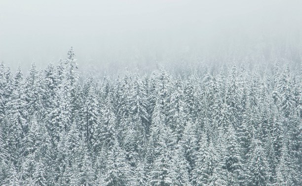 В Южно-Сахалинске ввели режим повышенной готовности из-за надвигающейся метели
