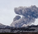 Вулкан Эбеко "чихнул" пеплом на высоту 2,5 км 