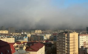 Общество