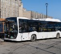 Ещё 25 новых пассажирских автобусов вышли на дороги Южно-Сахалинска