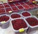 "Клюкву несут из леса мешками": чехарда с ценами на ягоду удивила сахалинцев