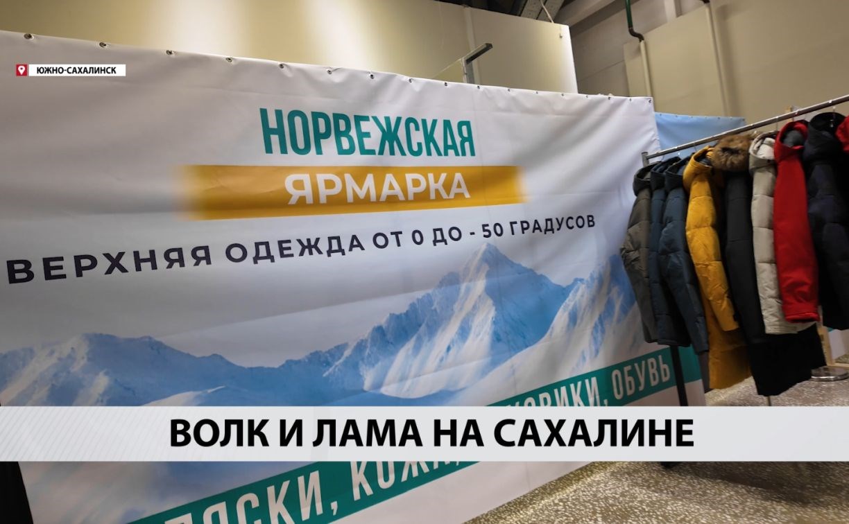 Шубы из ламы и дублёнки из волка: что предлагает норвежская выставка сахалинцам Шубы из ламы и дублёнки из волка: что предлагает норвежская выставка сахалинцам