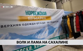 Новости компаний