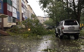Происшествия