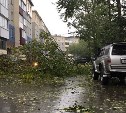 Первые итоги циклона на Сахалине: падают деревья и строительные леса
