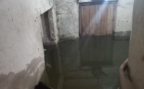 Общество