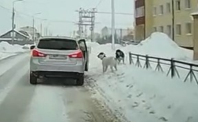 Происшествия