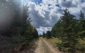 Общество