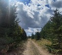 Бархатный сезон в выходные, потом дождь: погода на Сахалине и Курилах на неделю