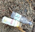 Пляж на Сахалине завалило импортным мусором во время шторма