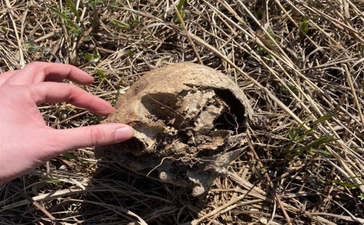 Череп, найденный на кладбище Углегорска, исчез