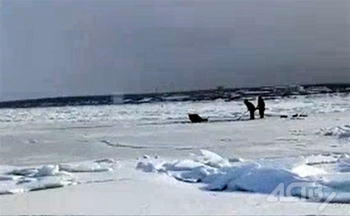 В Стародубском охотники за зубарём утопили снегоход - Новости Сахалинской  области - astv.ru