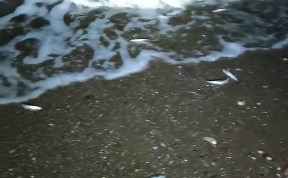 Общество