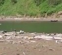 "Устье перекрыли наглухо": жители Углегорского района просят спасти реку от браконьеров