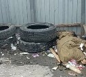 Жителей Южно-Сахалинска просят не выбрасывать трупы своих питомцев на мусорку