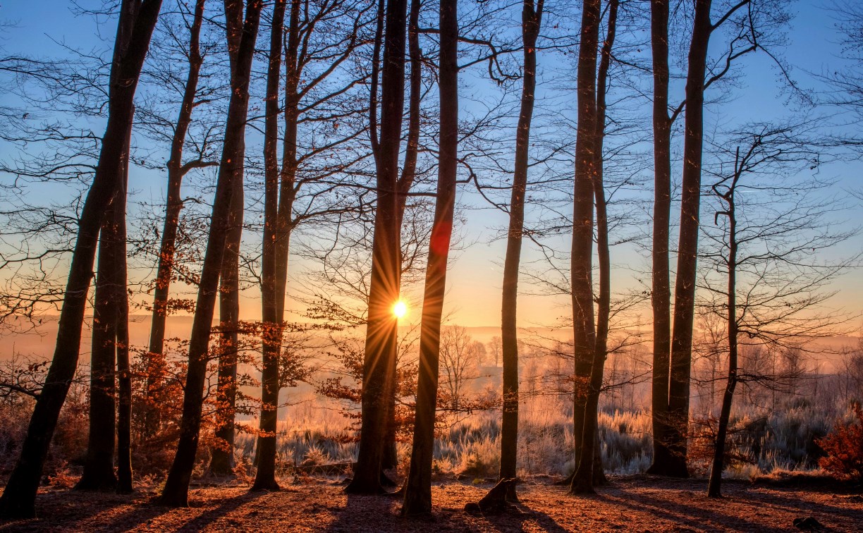 Внезапное потепление на юге Сахалина: синоптики прогнозируют до -2 градусов