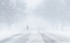 Общество