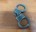 Многодетную мать на Сахалине приговорили к колонии общего режима за неуплату алиментов