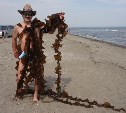 В День рыбака на юге Сахалина многие островитяне открыли купальный сезон