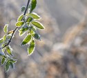 Весна неуверенно стоит на пороге: какой будет погода в Сахалинской области 15 марта