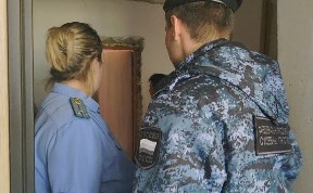 Происшествия