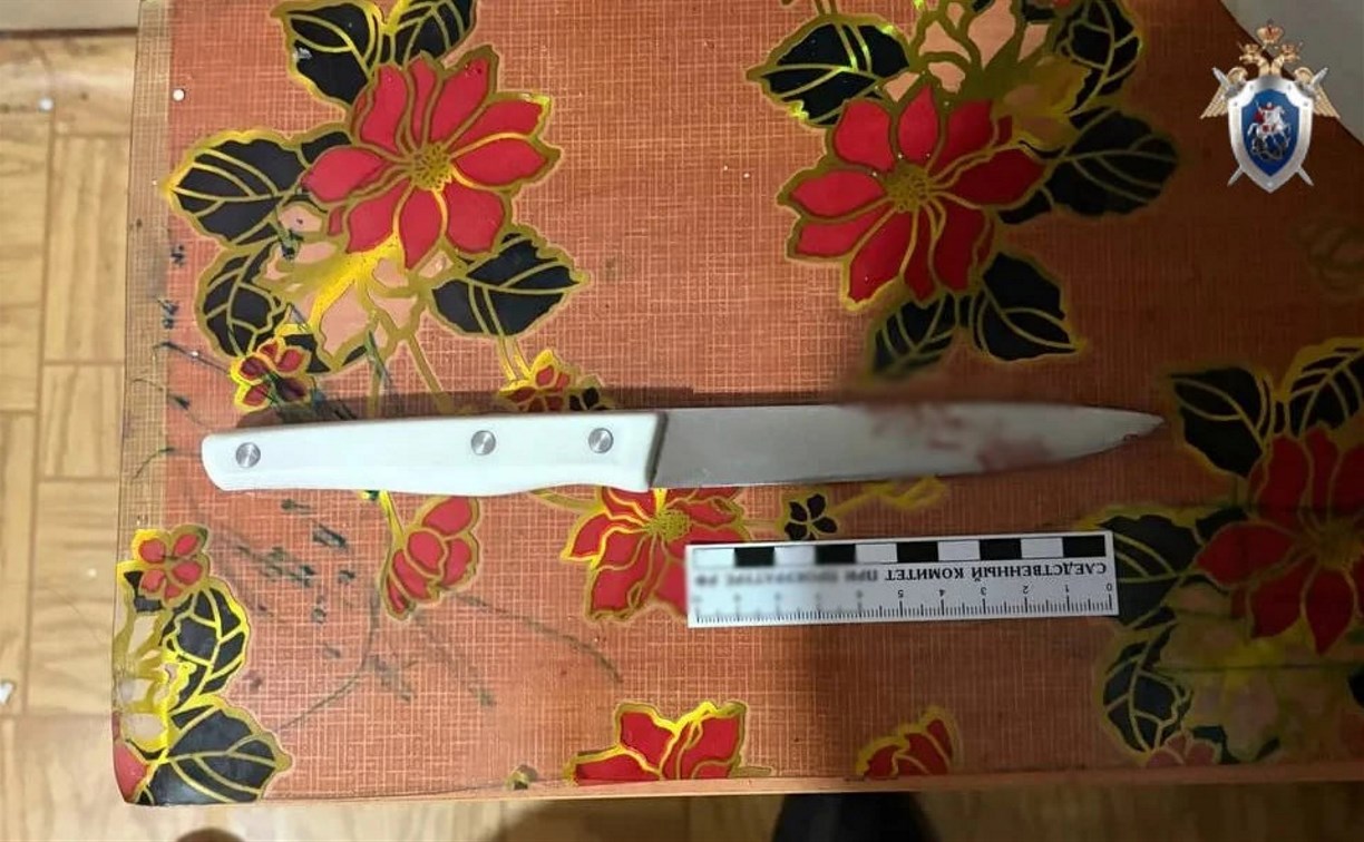 Сожитель вызвал скорую: сахалинка выжила после нападения с ножом в Долинском районе