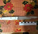 Сожитель вызвал скорую: сахалинка выжила после нападения с ножом в Долинском районе