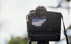 Происшествия
