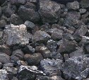 Упорный корсаковец по кусочкам вытаскал из котельной 3,6 тонны угля