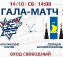 Конкурс плакатов и автограф-сессия: гала-матч "Сахалинских Акул" пройдёт в субботу