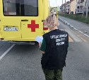 Следком ищет свидетелей смертельного ДТП в Яблочном, в котором погибла 8-летняя девочка