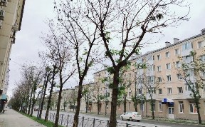 Происшествия