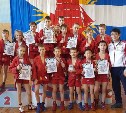 Юные сахалинские самбисты завоевали 12 медалей на дальневосточных соревнованиях
