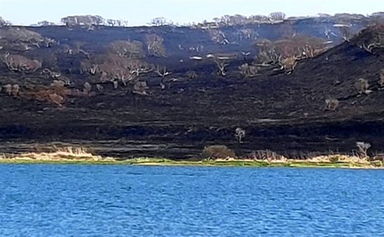 «Выжгли весь берег, треск стоит»: пожар у Танкового озера на Итурупе 