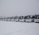 «Транспортная компания» Южно-Сахалинска ищет водителей на новые автобусы