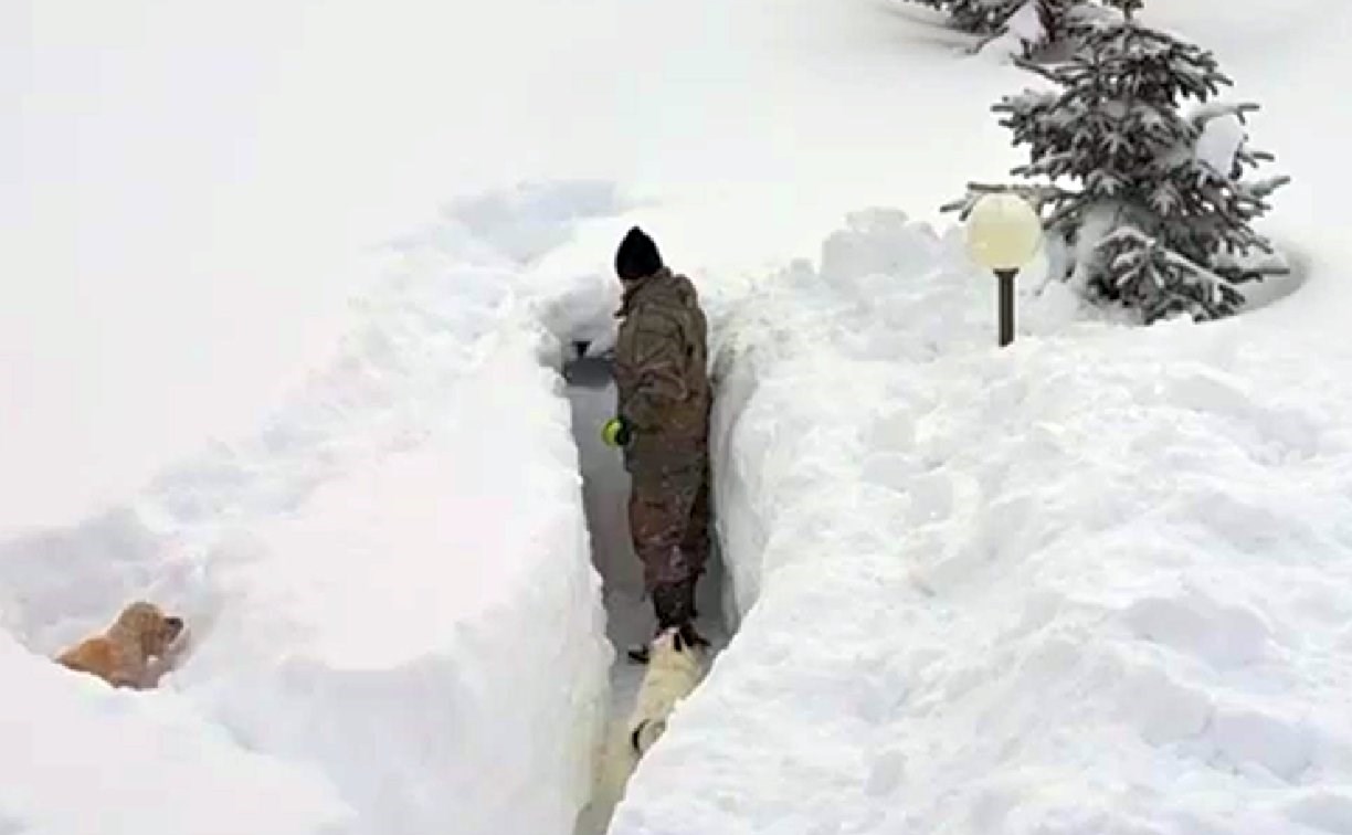 "Чистил три часа": сахалинец снял позитивное видео о снегопаде