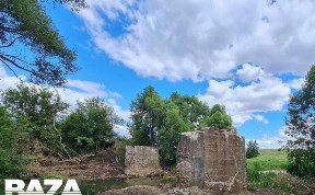 Общество