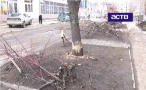 Общество