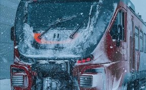 Общество
