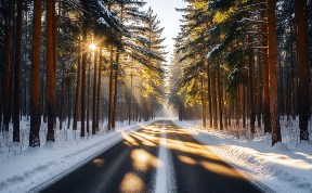 Происшествия