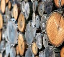 На Сахалине сделали дешевле древесину для получателей дальневосточных гектаров 