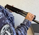  Три гладкоствольных ружья и один травмат забрали у жителей Южно-Сахалинска 