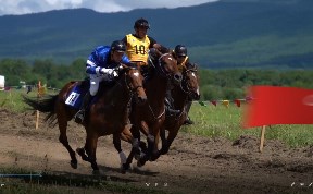 Спорт