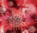 Минздрав и Лимаренко сообщили о 63 новых случаях коронавируса 