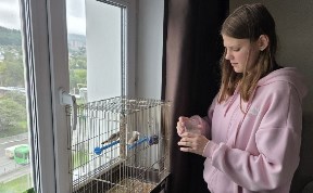 Общество
